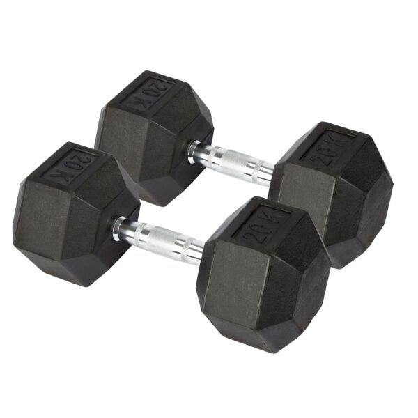 20kg Hex weight dumbbell